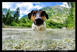 at beautiful river Soca ...Nikon D90, tokina 10-17mm,  Na... by Melita Bubek 